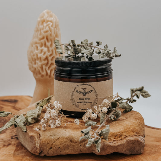 Aging Ritual Whipped Tallow Lotion