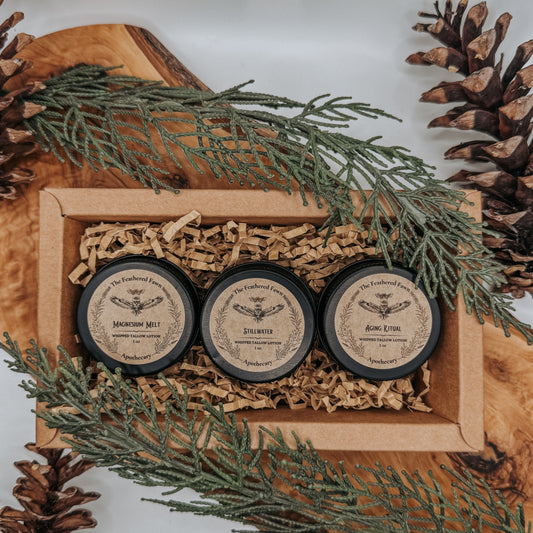 Best Sellers Gift Set